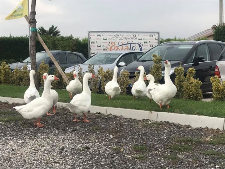 Agriturismo La Sapienza updated their cover photo.