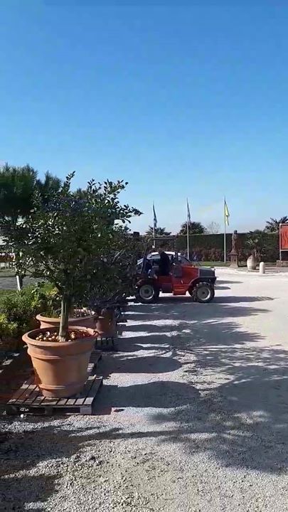 L’estate sta arrivando. …..lavori in corso. ..#sirio #siriolaforzaintelligente…
