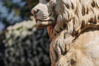 galleria-agrituirsmo-la-sapienza88